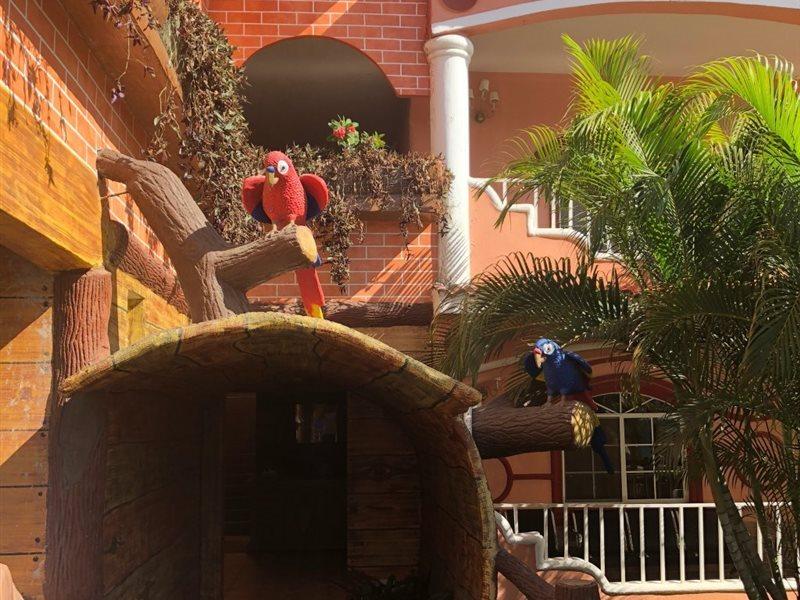 Hotel Residencia Del Sol Guatemala City Exterior photo