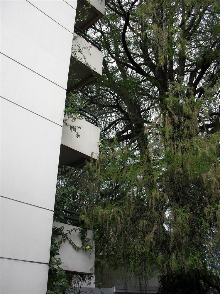 Hotel Residencia Del Sol Guatemala City Exterior photo